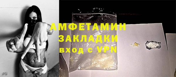 ECSTASY Бородино