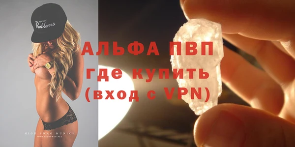 ECSTASY Богданович