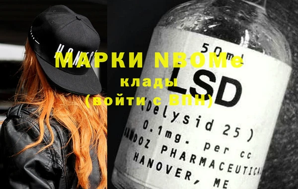 ECSTASY Бородино
