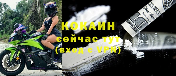 ECSTASY Богданович