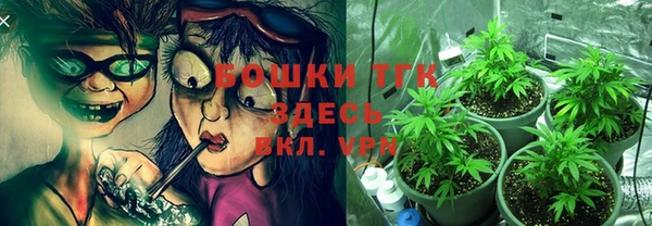 ECSTASY Бородино