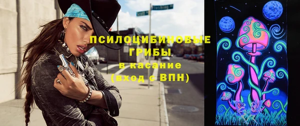 ECSTASY Богданович