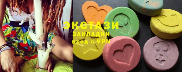 ECSTASY Богданович