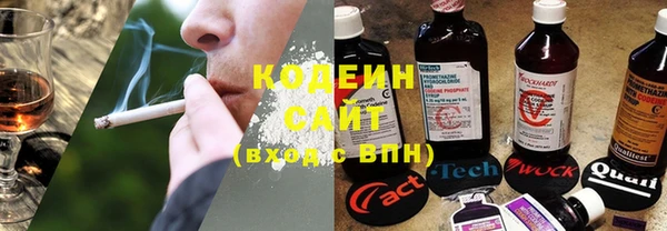 ECSTASY Бородино