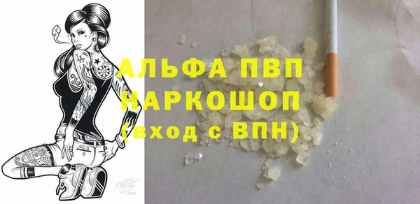 ECSTASY Бородино