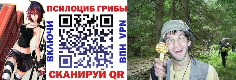 Галлюциногенные грибы Psilocybine cubensis как найти Юхнов